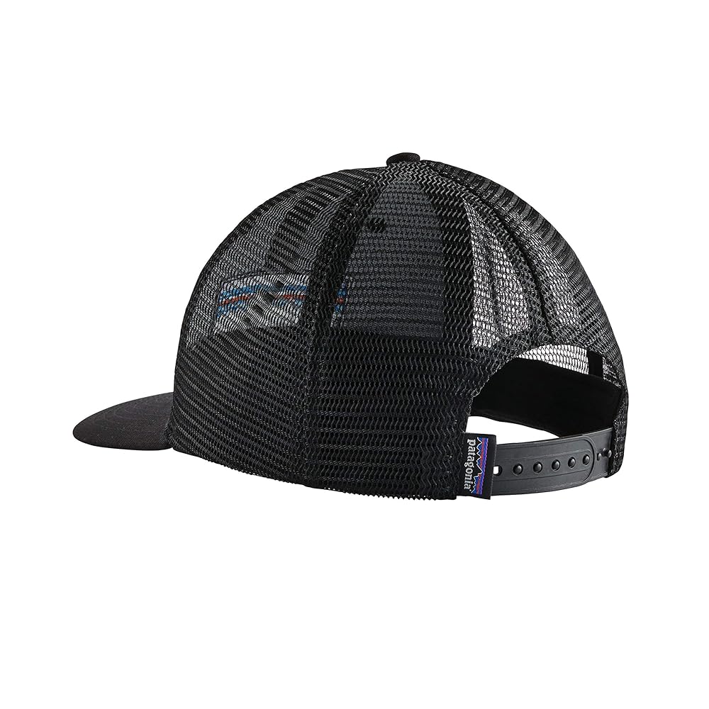 Patagonia Buffalo logo cap 黒 Black Patagonia Buffalo logo cap 黒 Black